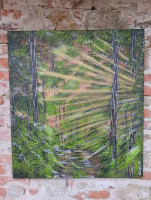 /album/tatianakozakova/589167982-1453571140104901-3651465598008618381-n-jpg/